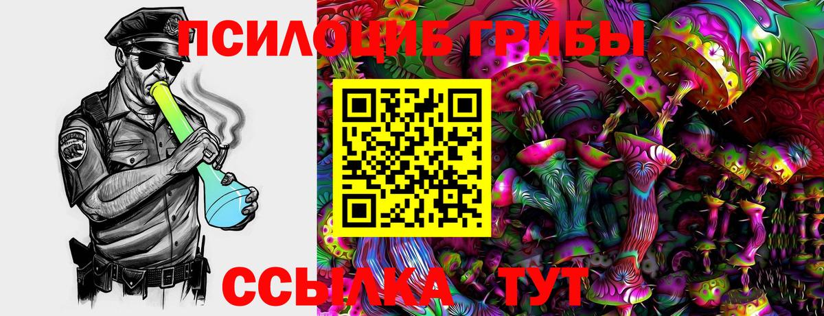 Галлюциногенные грибы GOLDEN TEACHER  Вход с VPN  купить закладку  Лесной 