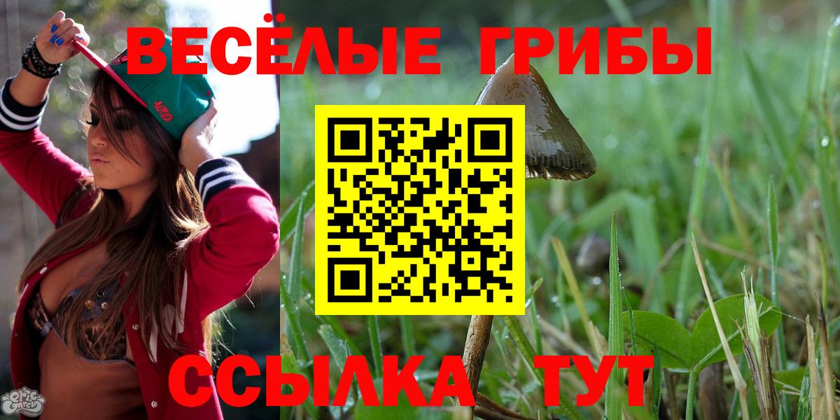 Псилоцибиновые грибы Magic Shrooms Лесной